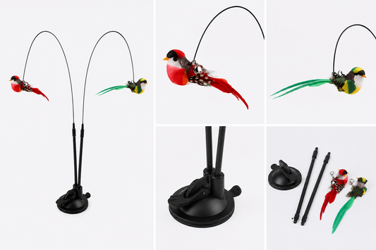 🐦 Double Bird Interactive Cat Teaser Toy